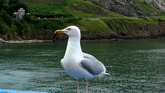 LLandudno, Wales