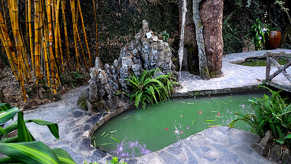 Hang Nga Guesthouse - "The Crazy House"