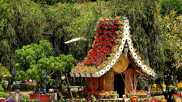Da Lat Flower Park