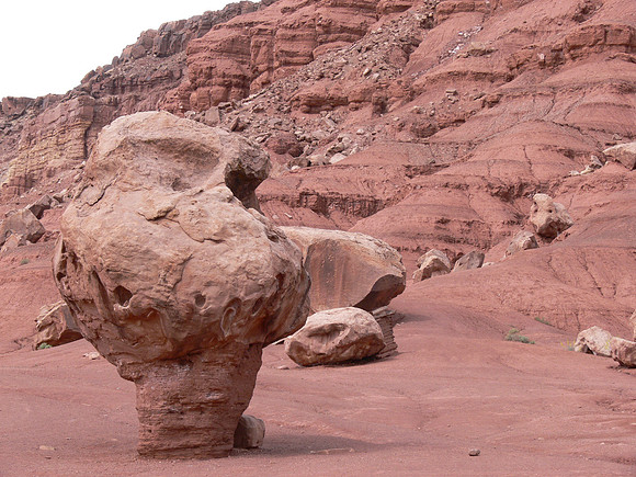 UtahTW2007 350.jpg