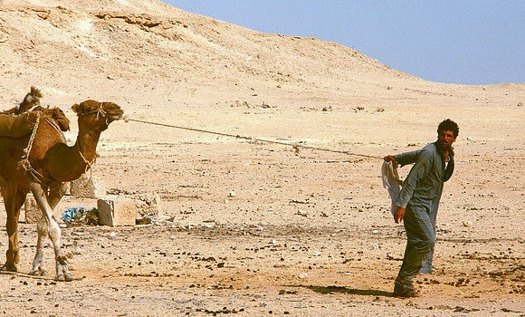 The Oasis at Siwa, Egypt