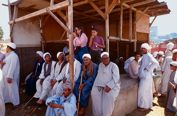 The Cairo camel market (Sug al Gimaal)