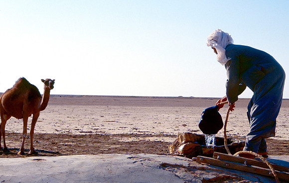 The Oasis at Siwa, Egypt