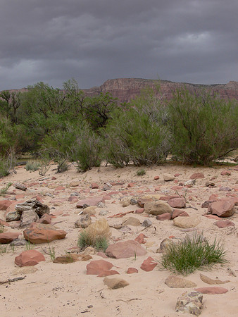 UtahTW2007 388.jpg