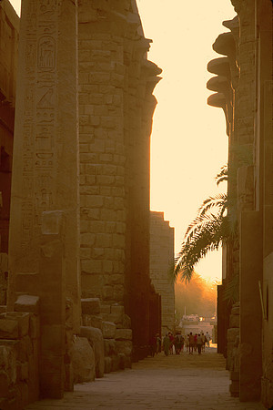 The great colums at the Temple of Luxor