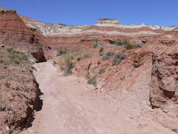 UtahTW2007 202.jpg