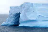 Antarctica - Elephant Island Gallery
