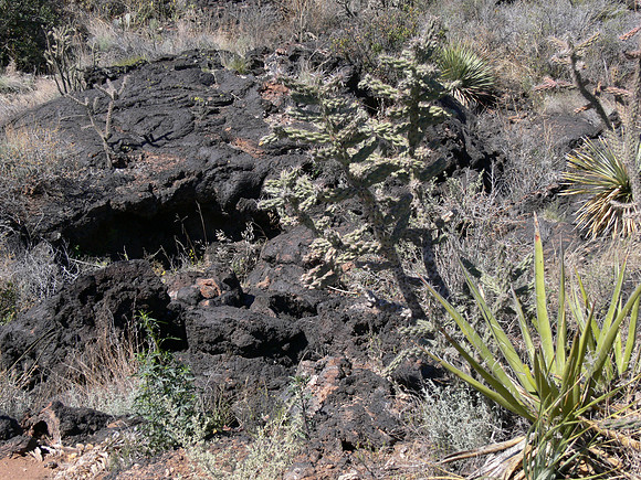 Valley of Fires Recreation Area - New Mexico