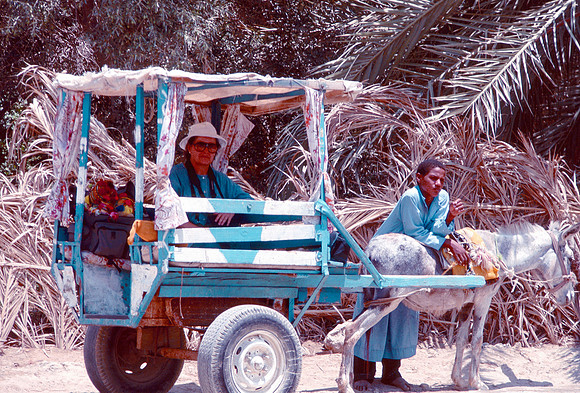 The Oasis at Siwa, Egypt