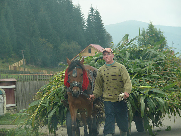 Suceava, Romania