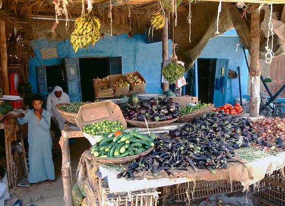 The Oasis at Siwa, Egypt