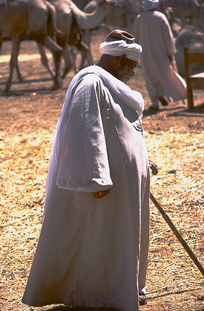 Egyptian man with cane.