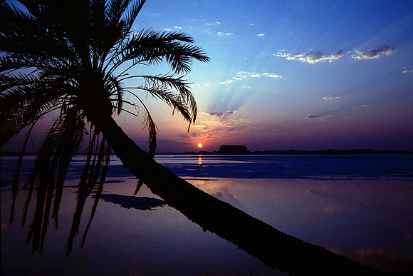 The Oasis at Siwa, Egypt