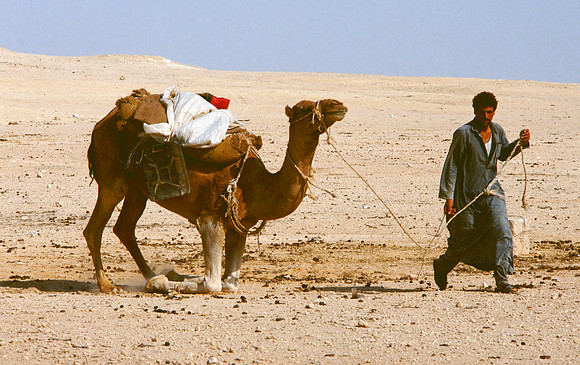 The Oasis at Siwa, Egypt