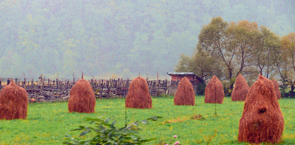 Suceava, Romania