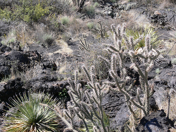 Valley of Fires Recreation Area - New Mexico