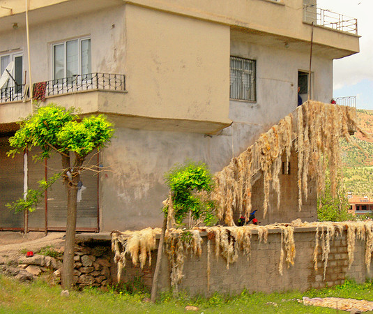 Urfa, Turkey