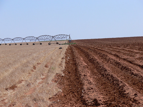 Texas Panhandle - Preparing cotton field for planting.