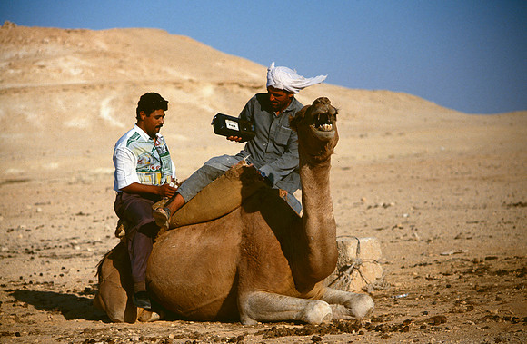 The Oasis at Siwa, Egypt