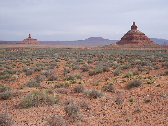 UtahRW2007 109.jpg