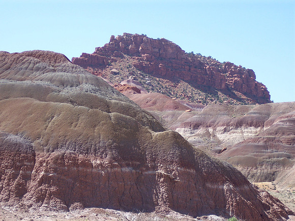 UtahRW2007 262.jpg