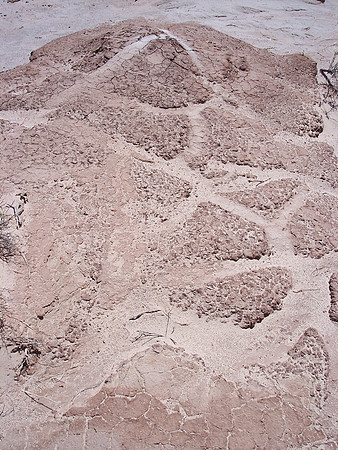 UtahRW2007 251.jpg