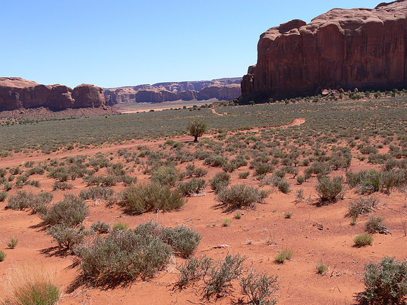 UtahTW2007 054.jpg