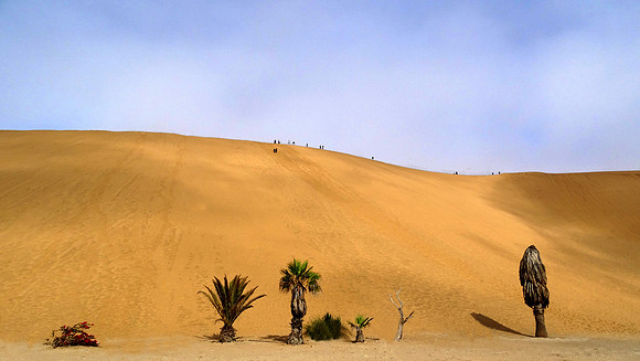 Giant sand dunes of Namibia