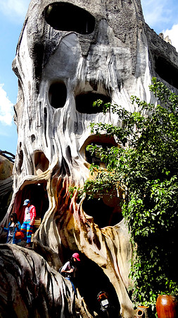 Hang Nga Guesthouse - "The Crazy House"