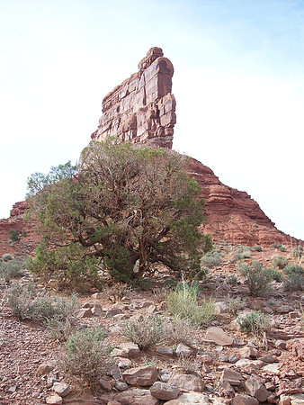UtahRW2007 135.jpg