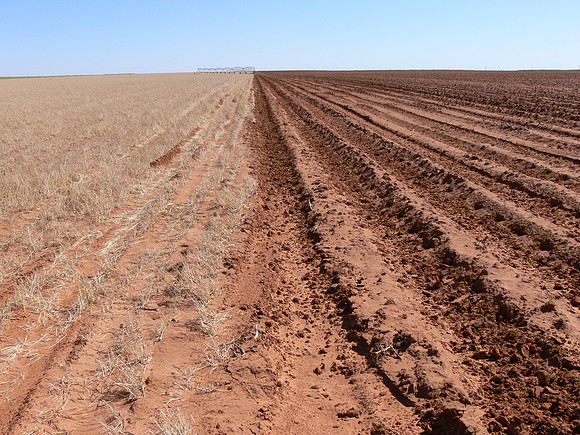 Texas Panhandle - Preparing cotton field for planting.