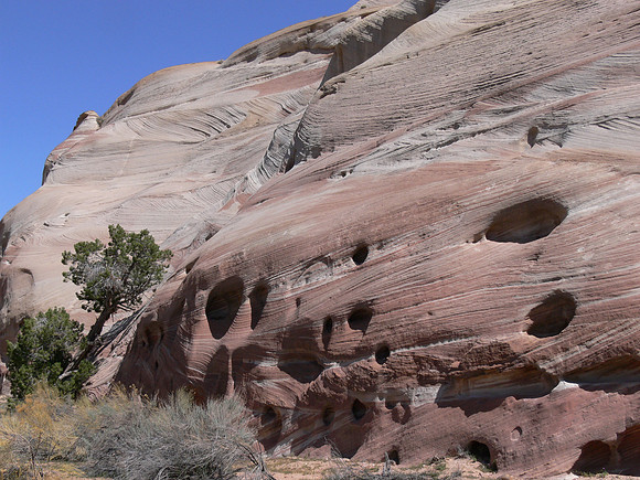 UtahTW2007 081.jpg