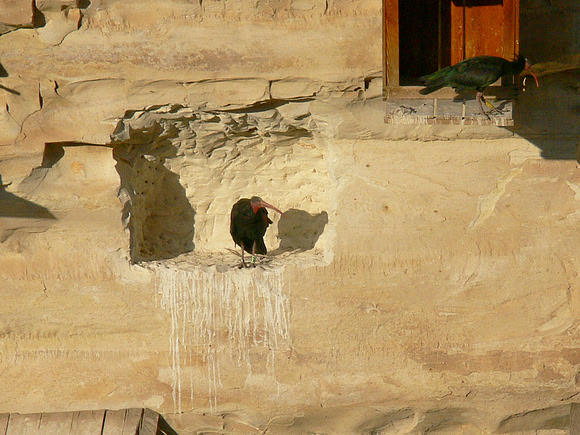 Urfa, Turkey
