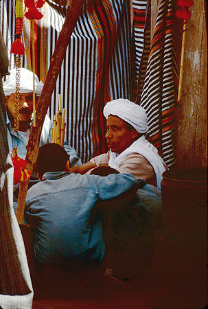 Two men and a boy rest in the shade.