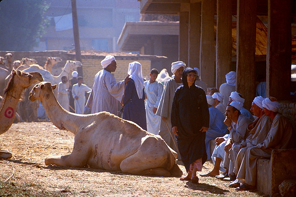 Few women are seen at the camel market.