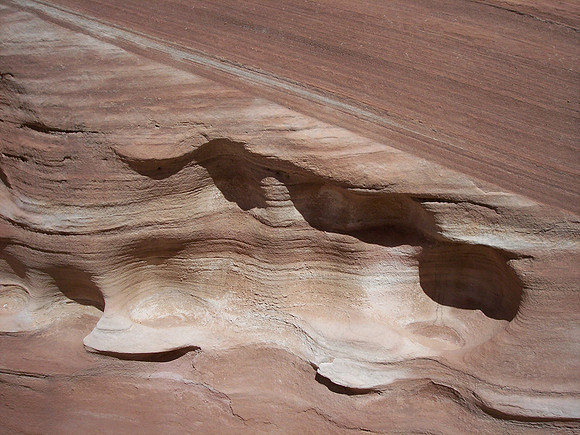 UtahRW2007 229.jpg