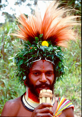 Village life in Papua New Guinea.