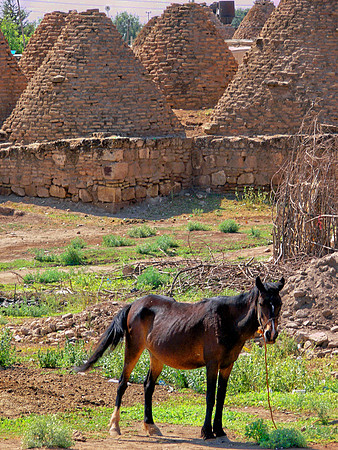 Harran, Turkey