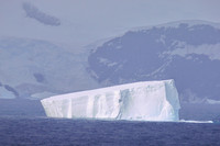 Elephant Island, Antarctica