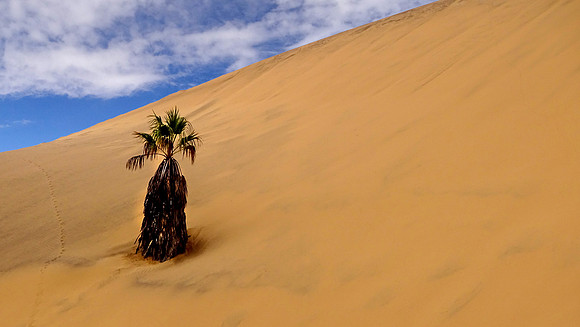 Giant sand dunes of Namibia