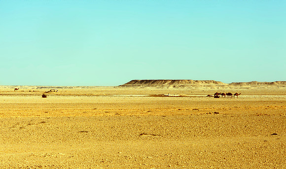 The Oasis at Siwa, Egypt