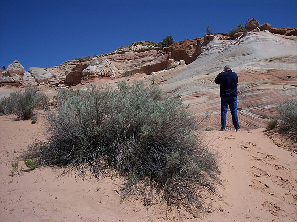 UtahRW2007 225.jpg