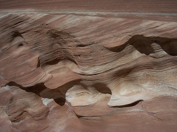 UtahRW2007 230.jpg