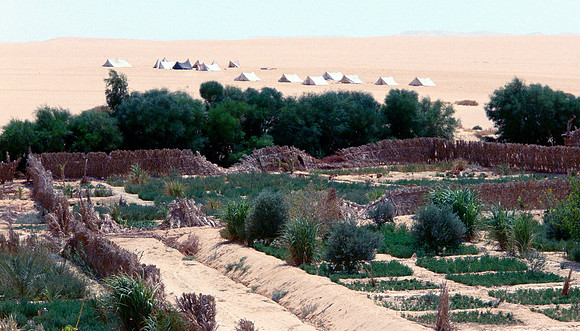 The Oasis at Siwa, Egypt
