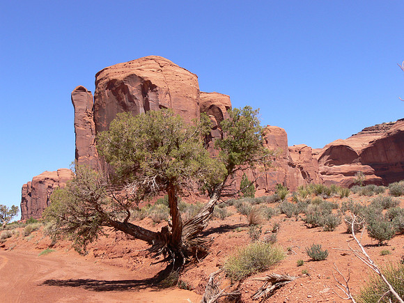 UtahTW2007 037.jpg