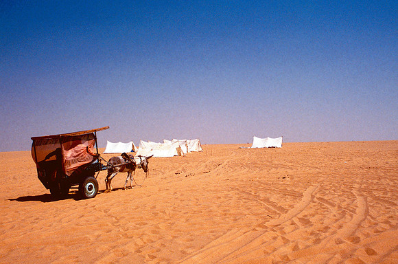 The Oasis at Siwa, Egypt
