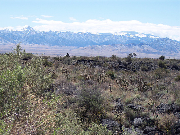 UtahRW2007 308.jpg