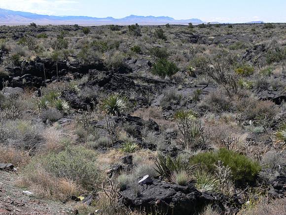 Valley of Fires Recreation Area - New Mexico