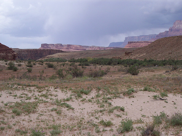 UtahRW2007 275.jpg