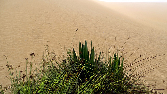 Giant sand dunes of Namibia